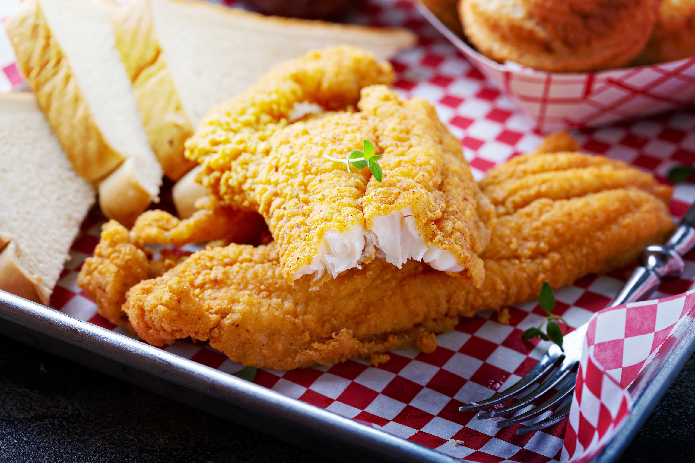 Fried Catfish with Cornbread